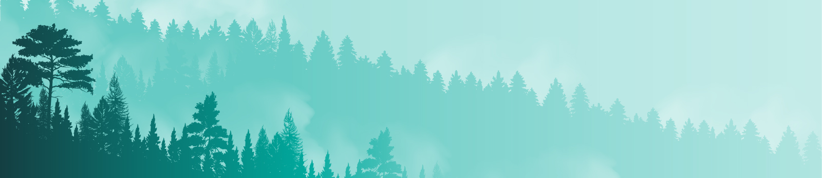 OE & More:Trees Challenge