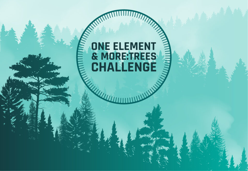OE & More:Trees Challenge