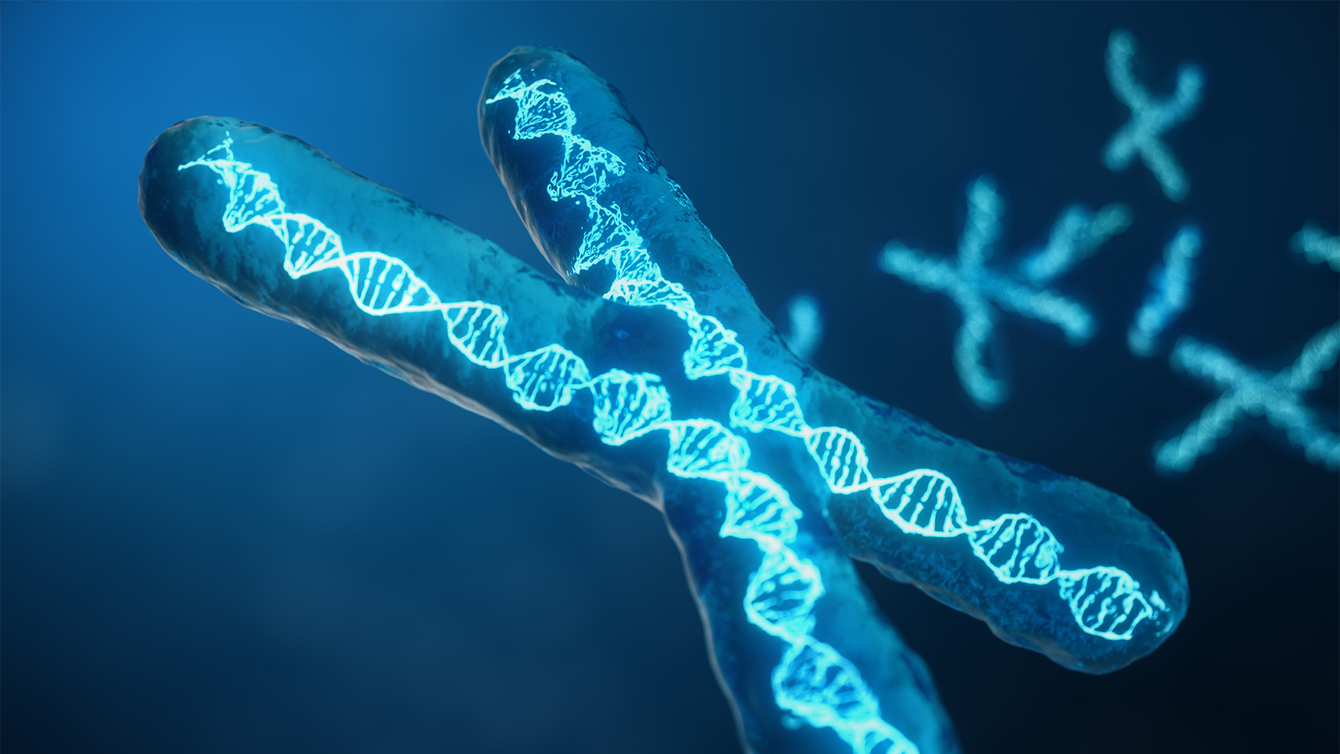 The Tale of Telomeres