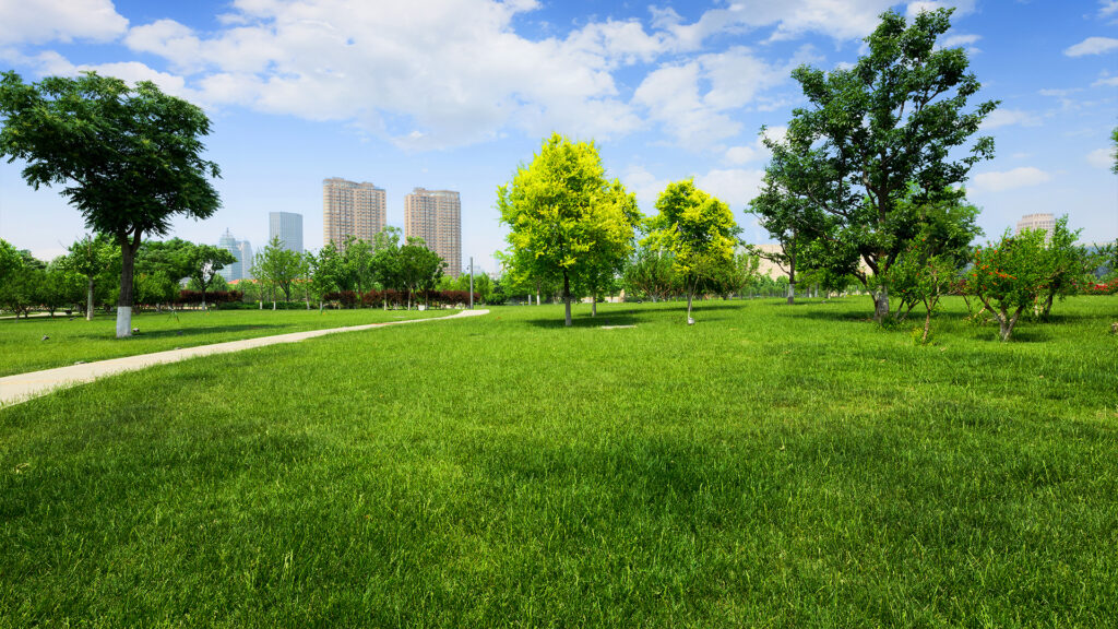 Making Our Parks Safe, Welcoming, and Green