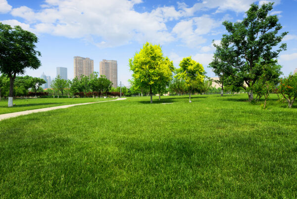 Making Our Parks Safe, Welcoming, and Green
