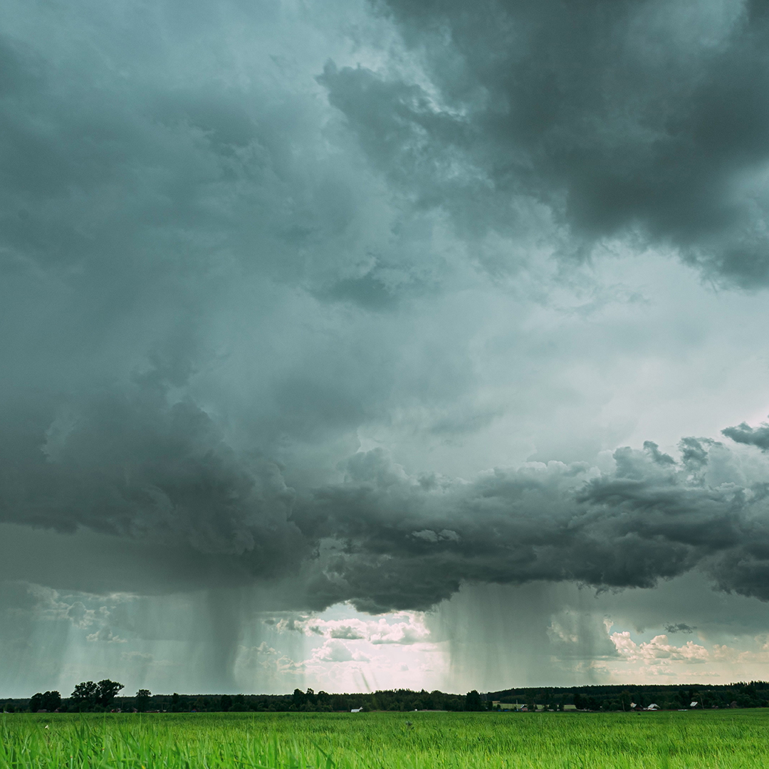 Let it Rain: A Celebration Showers